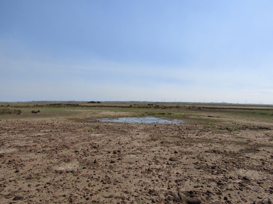 Commercial Property for Sale in Humansdorp Rural Eastern Cape